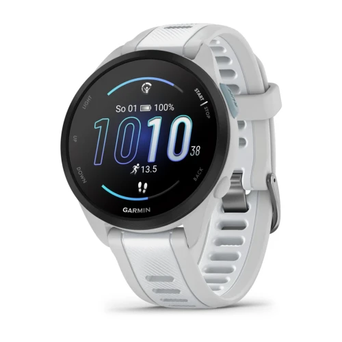 Garmin Forerunner 165 Music Mist Grey [010-02863-31]