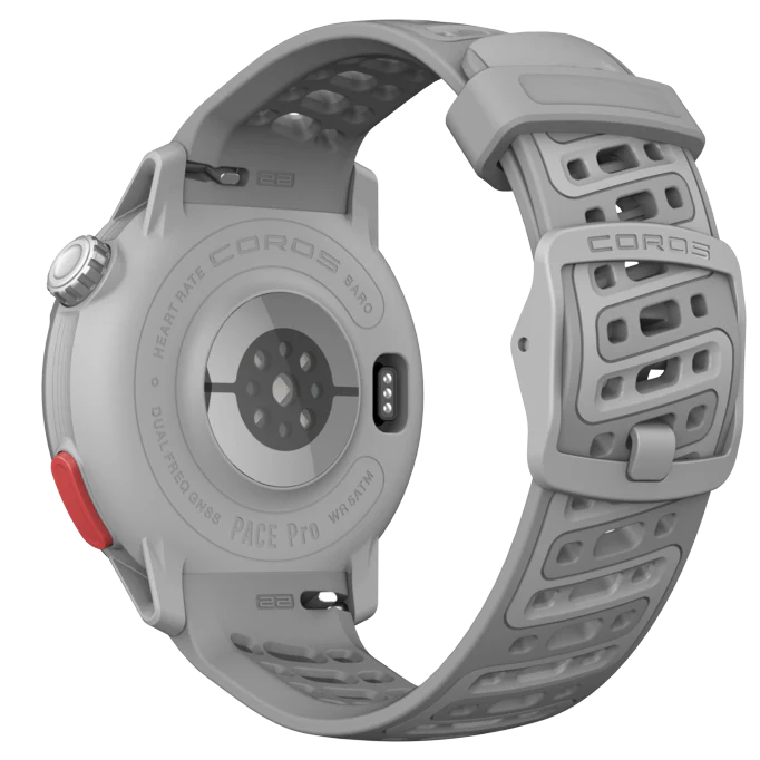 grey5.webp